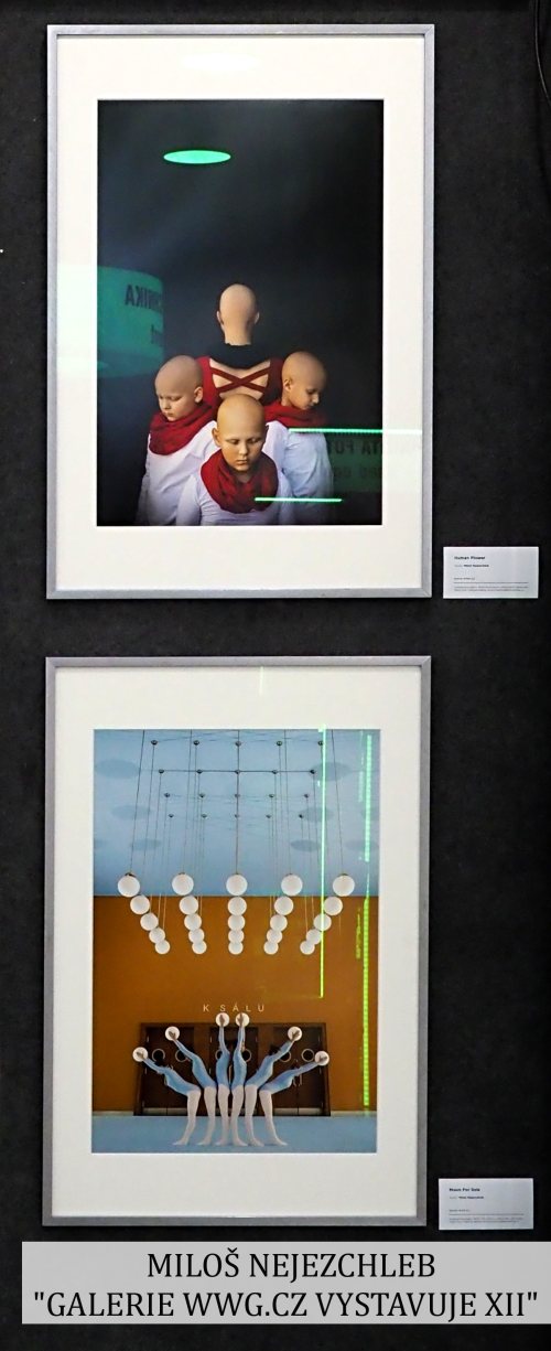 GALERIE WWG.CZ XII - MILOŠ NEJEZCHLEB